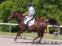 img-00021-515